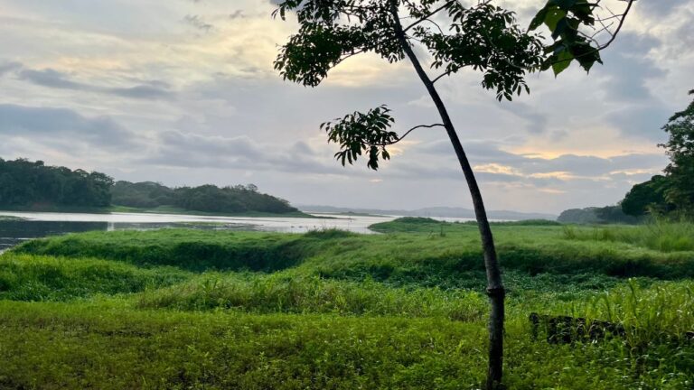 Chagres National Park, Panama.
